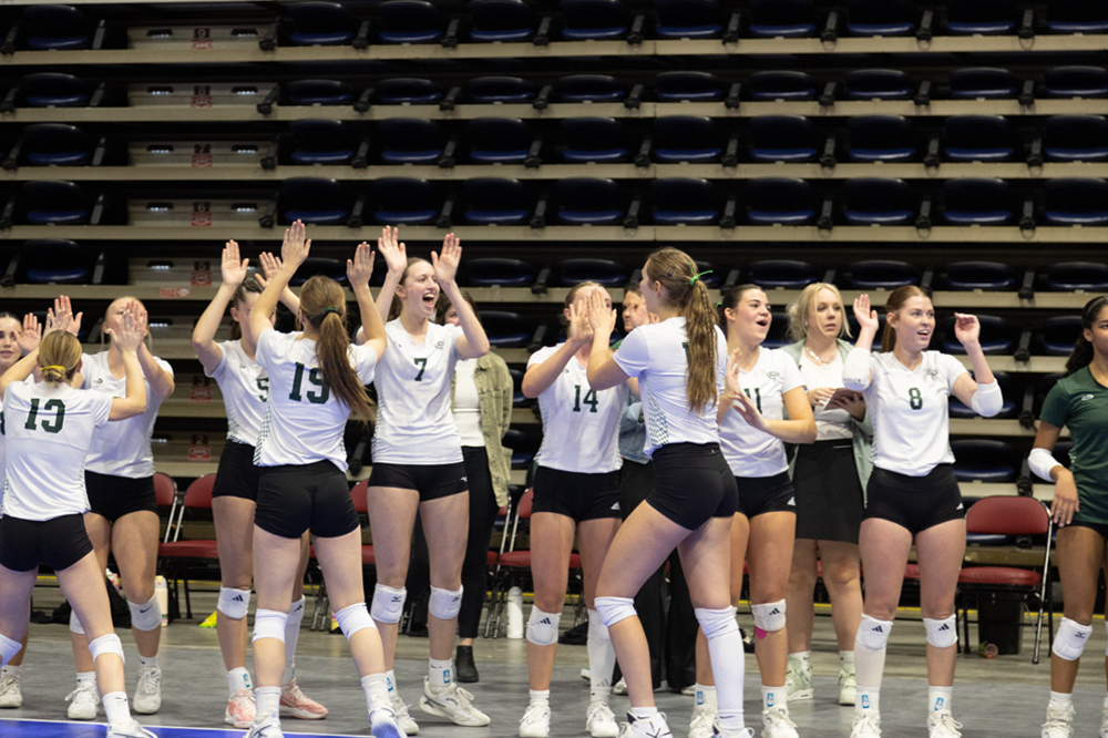 %_tempFileName1M6A2462%