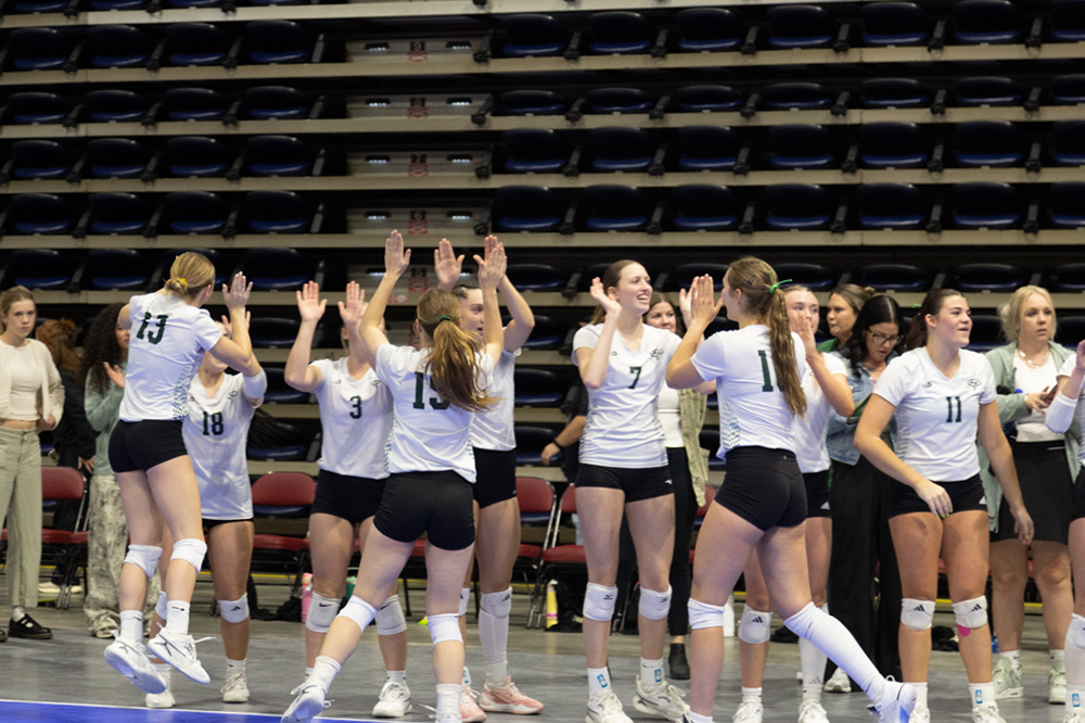 %_tempFileName1M6A2466%