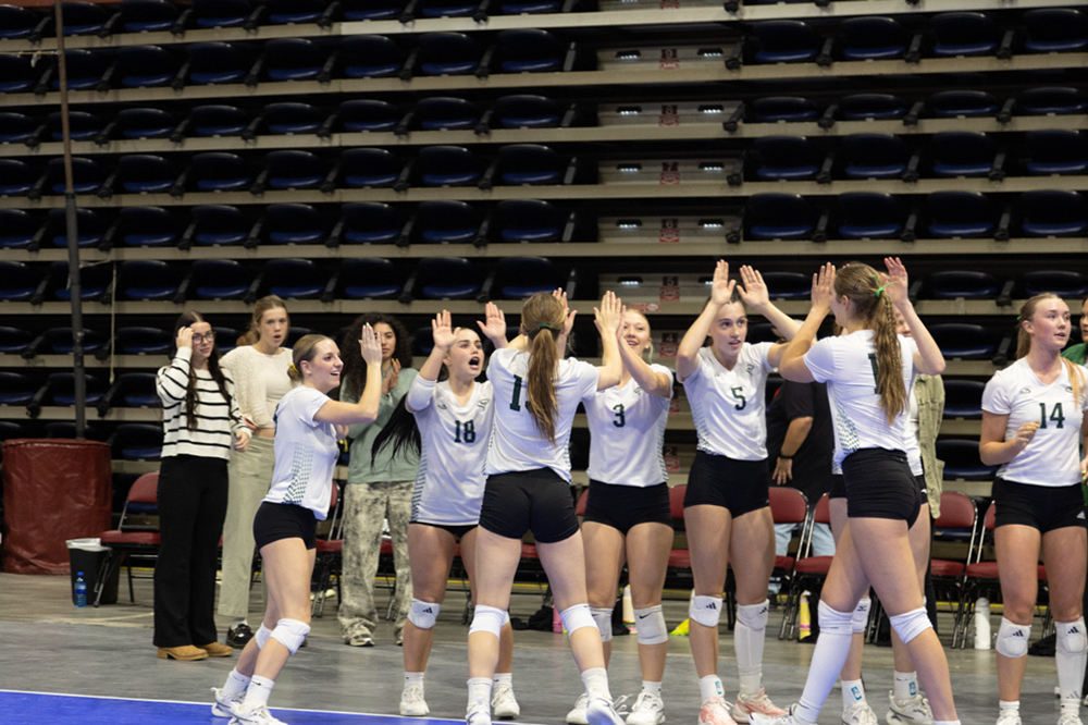 %_tempFileName1M6A2471%