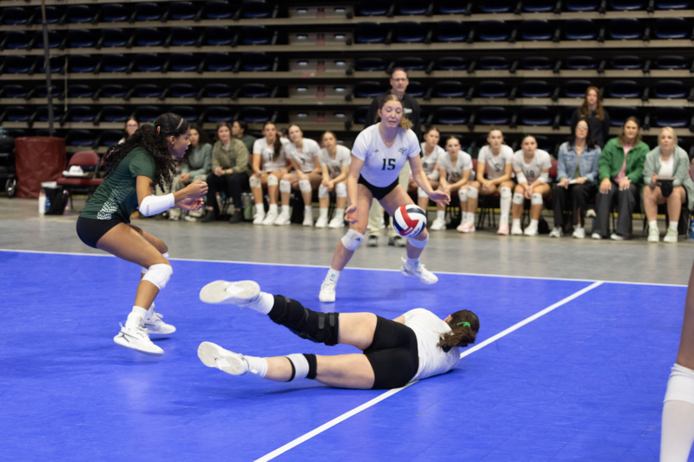 %_tempFileName1M6A9659%