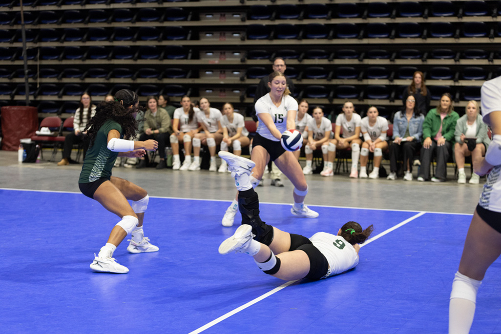 %_tempFileName1M6A9661%