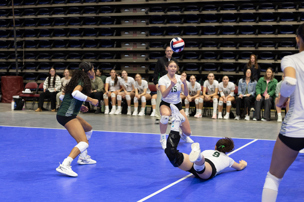 %_tempFileName1M6A9663%