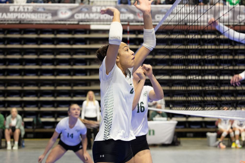 %_tempFileName1M6A9665%