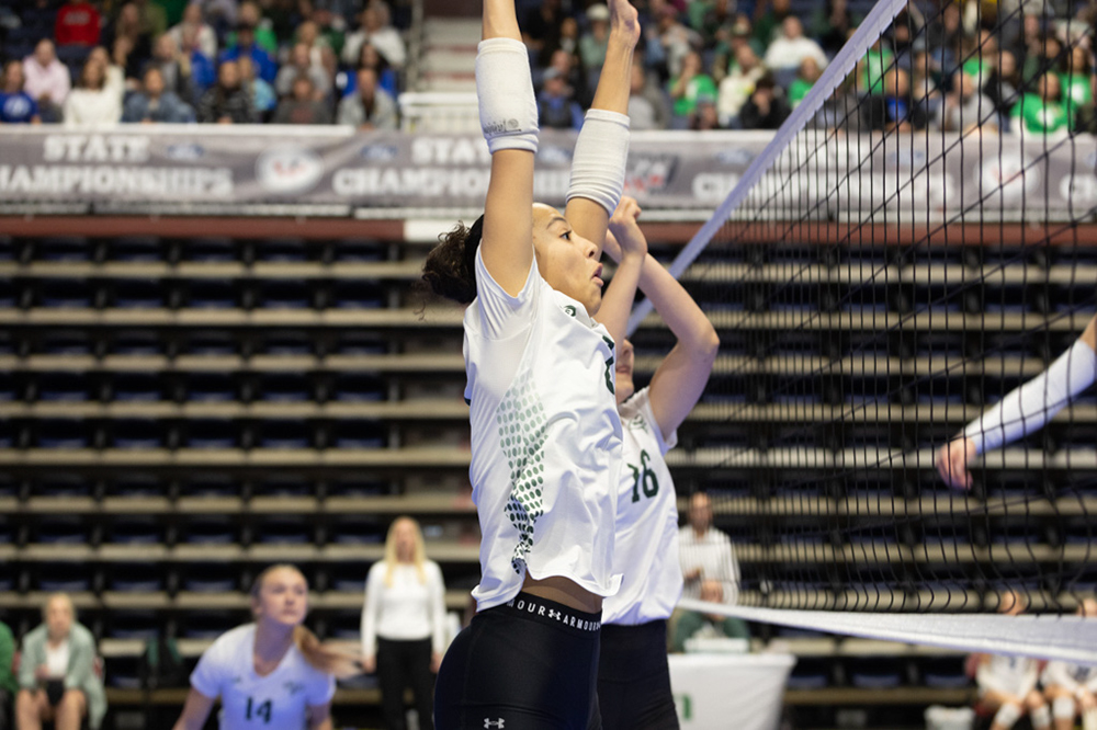 %_tempFileName1M6A9666%