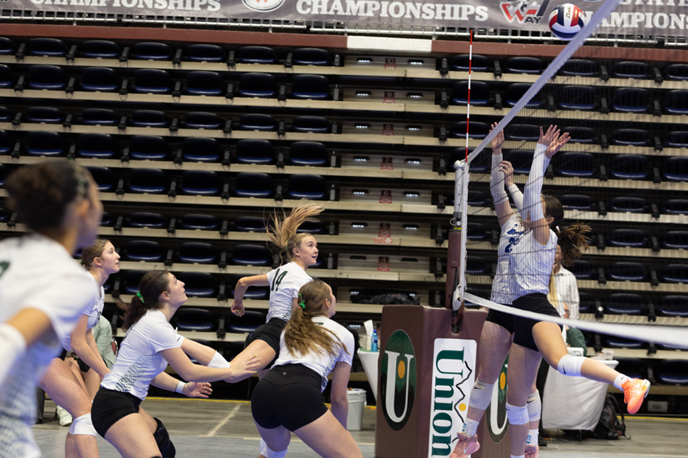 %_tempFileName1M6A9681%