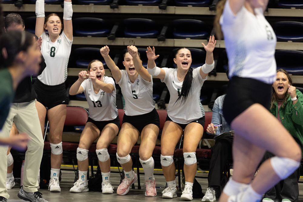 %_tempFileName1M6A9704%