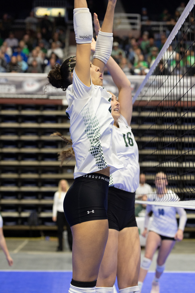 %_tempFileName1M6A9756%