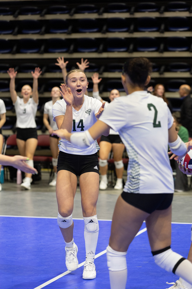 %_tempFileName1M6A9828%