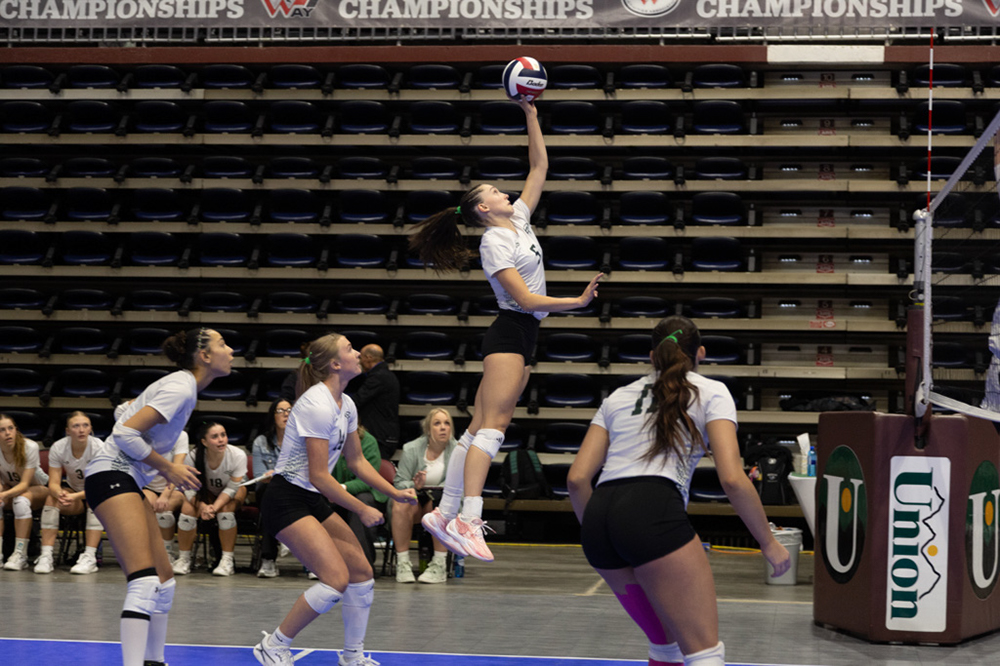 %_tempFileName1M6A9881%