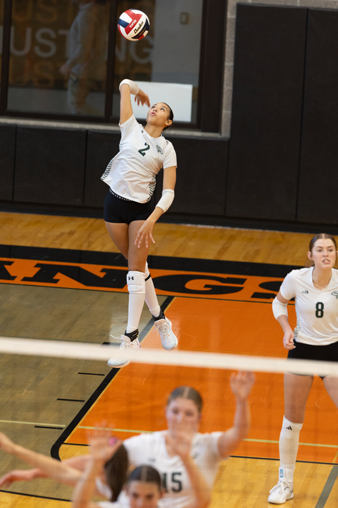 %_tempFileName1M6A3778%