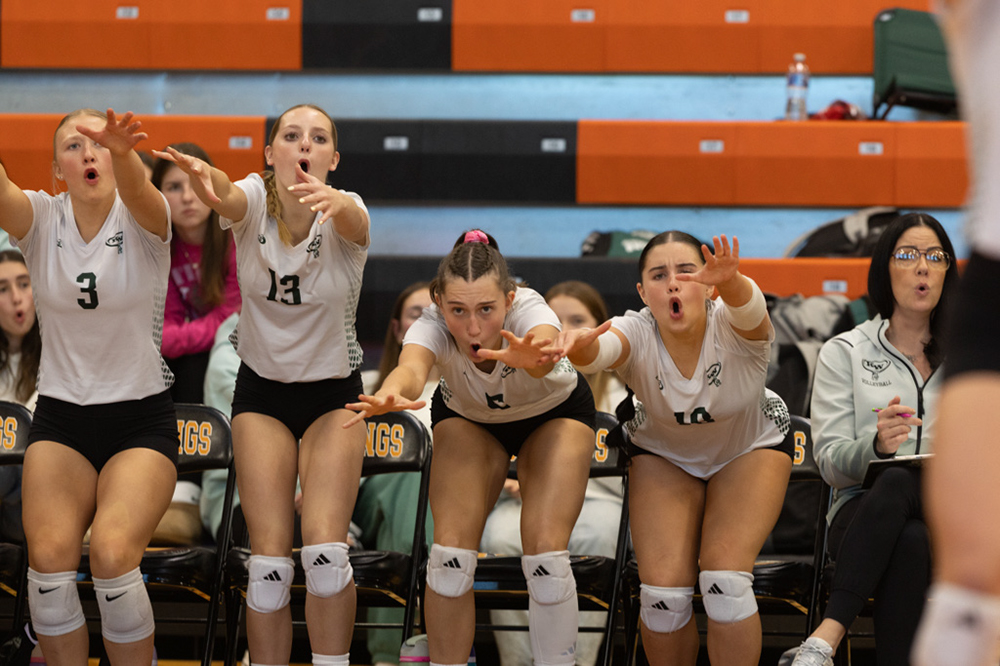 %_tempFileName1M6A4319%