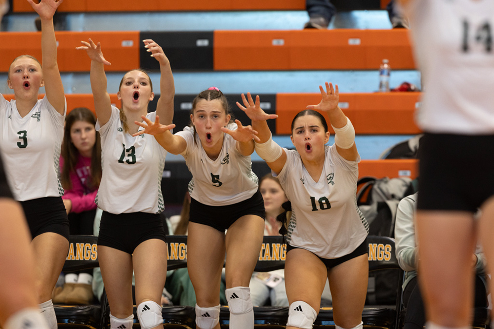 %_tempFileName1M6A4324%