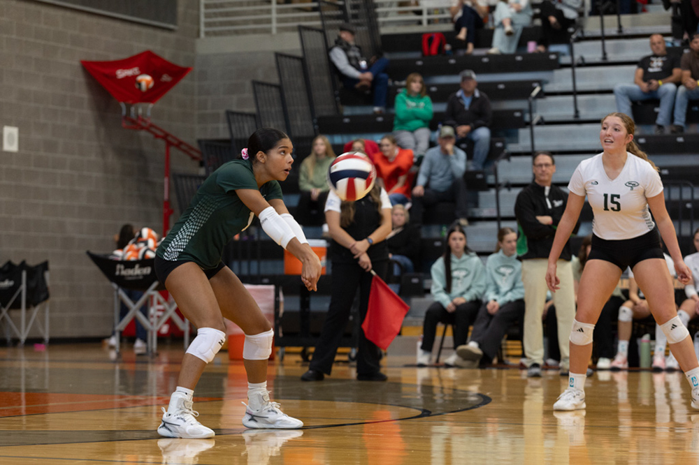 %_tempFileName1M6A4431%