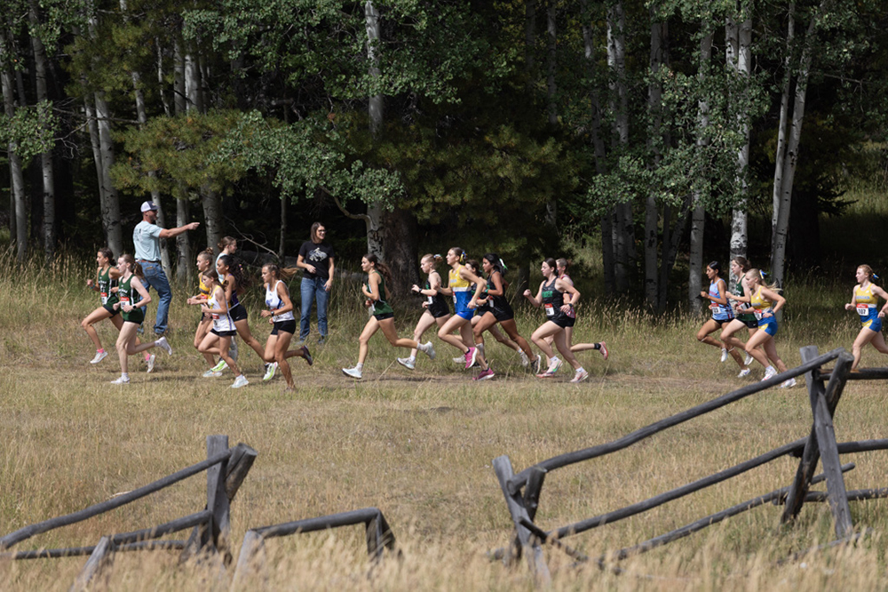 %_tempFileName1M6A0681%