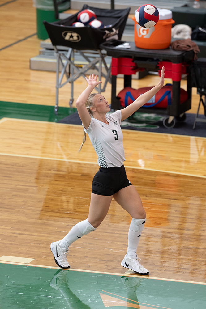 %_tempFileName1M6A0390%