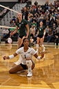 %_tempFileName1M6A3344%