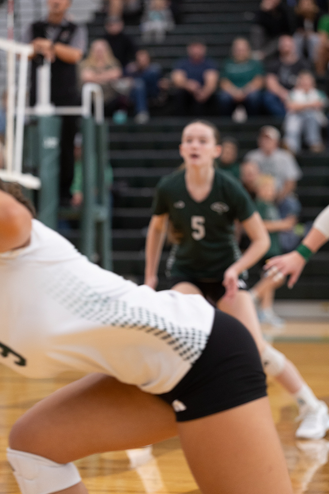 %_tempFileName1M6A6329%