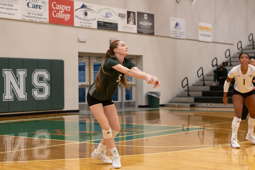 %_tempFileName1M6A8164%